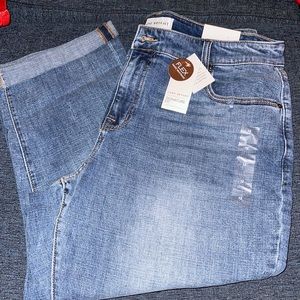 Lane Bryant Boyfriend Capri